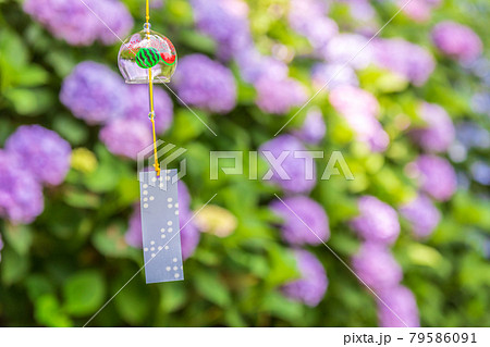 紫陽花とガラスの風鈴の写真素材