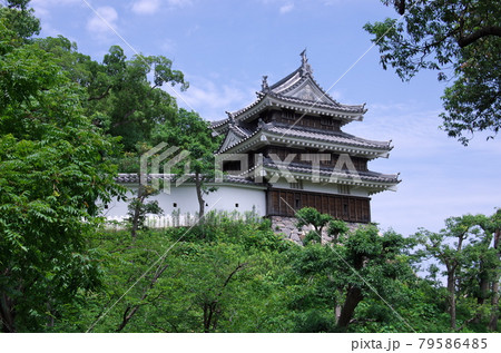 愛知県西尾市:西尾城/本丸丑寅櫓 愛知県西尾市:西尾城/本丸丑寅櫓 79586485