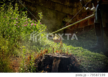 Worker Mowing Overgrown Lawn 79587199