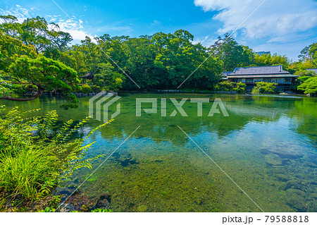 楽寿園 小浜池 【静岡県 三島市】 楽寿園 小浜池 【静岡県 三島市】 79588818