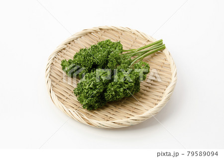 パセリ パセリ 79589094