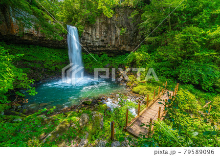 萬城の滝　伊豆 79589096