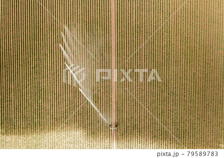 Top view on the irritation equipment on the field for watering.  79589783