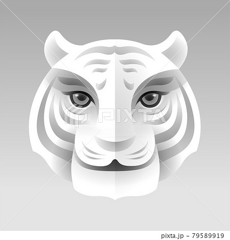 Paper graphic art of Tiger head, face. Paper graphic art of Tiger head, face. 79589919