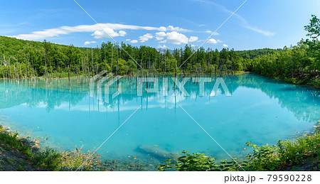 パノラマ撮影 夏の晴れた日の青い池 北海道美瑛町の観光イメージの写真素材