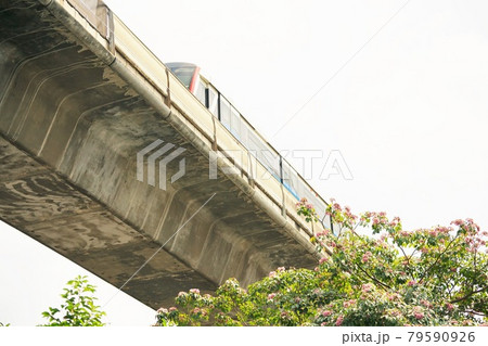 タイ王国バンコクの電車「BTS」と線路（Railway of BTS in Bangkok） 79590926