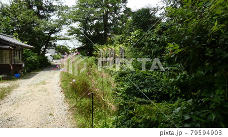 西国三十三か所周りと同じ功力の石仏・般若寺 西国三十三か所周りと同じ功力の石仏・般若寺 79594903