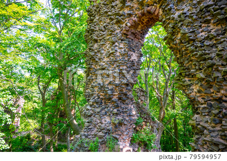 Stone gate of forest castle ruins Stone gate of forest castle ruins 79594957