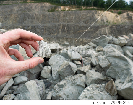 Hand hold stone or nugget in open quarry. Expert found the mineral  stone 79596015