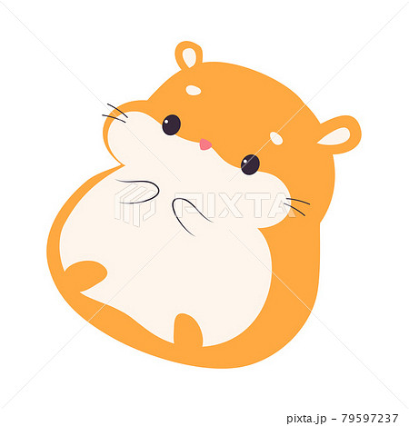 Cute Adorable Hamster Pet Animal Cartoon Vector のイラスト素材