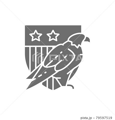 Eagle with USA shield, coat of arms of America grey icon. 79597519