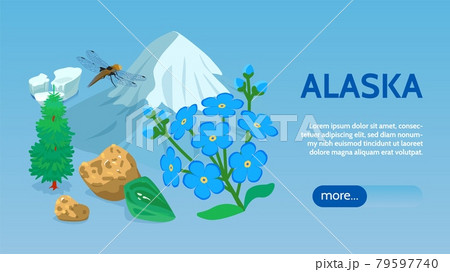 Alaska Isometric Web Banner Alaska Isometric Web Banner 79597740