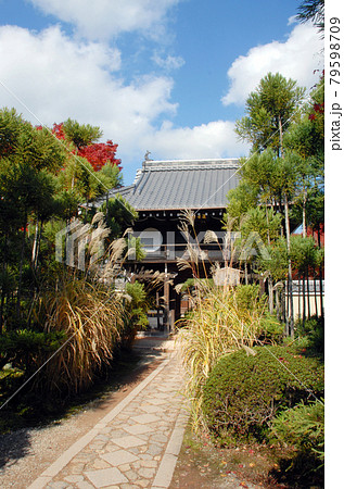 秋の源光庵　山門　京都市北区鷹峯 79598709
