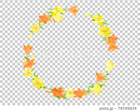 莉莉框架 莉莉框架 79599834