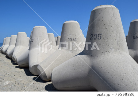 海岸の波消しブロック 79599836