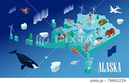 Alaska Travel Isometric Poster 79601229