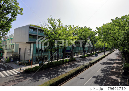 東京　渋谷区　表参道の都市風景　表参道ヒルズ 79601759