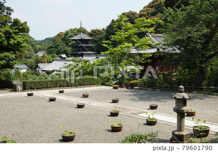 当麻寺　奥院から西塔を望む　奈良県葛城市 79601790