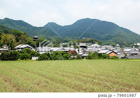 二上山　当麻寺　奈良県葛城市 79601987
