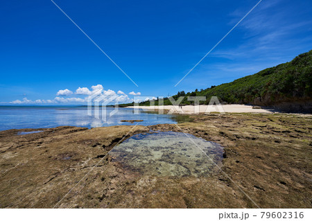 沖縄の自然が作った丸い潮だまりと深浜のビーチ 79602316
