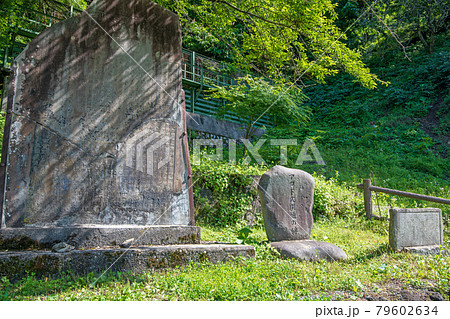 熊ノ平駅　周辺の景色　アプトの道　初夏の風景　安中市　 79602634