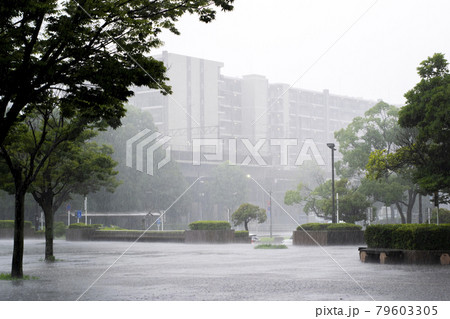 激しい雨の降る街 79603305