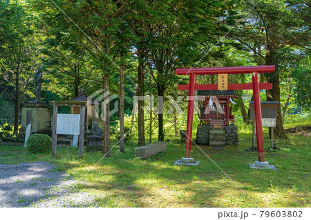 熊ノ平神社 熊ノ平駅 周辺の景色 アプトの道 初夏の風景 安中市 熊ノ平神社 熊ノ平駅 周辺の景色 アプトの道 初夏の風景 安中市 79603802