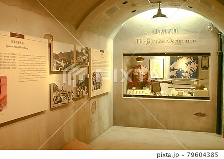Exposition in Hong Kong Museum of History displays primeval life  19 Feb 2005 79604385