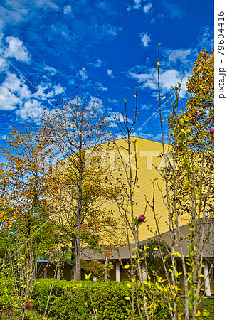 越前陶芸村ー秋 79604416