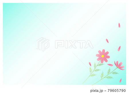 Postcard for the lingering summer heat Cosmos - Stock Illustration  [79605790] - PIXTA