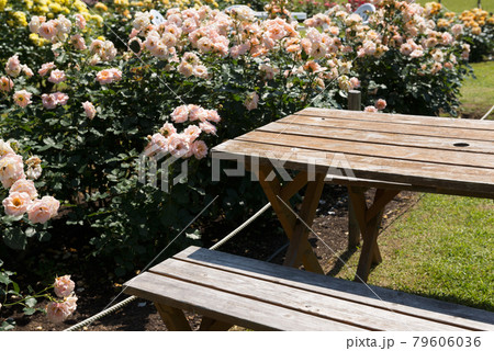 蜻蛉池公園 79606036