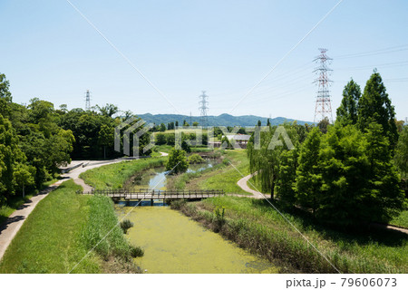 山田池公園 79606073