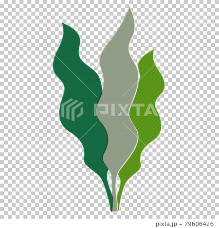 版ずれ風のわかめのイラスト（白背景・ベクター・切り抜き）のイラスト 