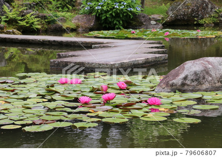 仙台北山の名刹輪王寺の庭園 79606807