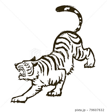 Illustration Of A Barking White Tiger Stock Illustration