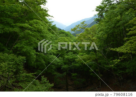 山の上から見える景色 山の上から見える景色 79608116