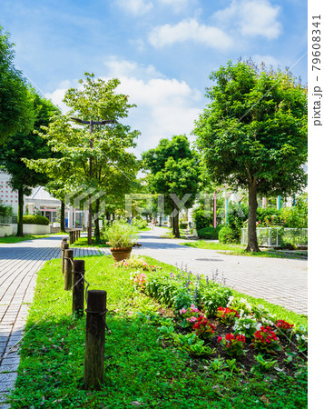 住まい・暮らし・街　イメージ　縦構図 79608341