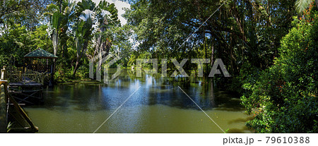ボルネオ ボルネオ島 川 79610388