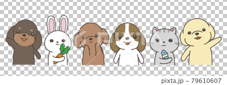 兎と犬と猫　整列カメラ目線 79610607