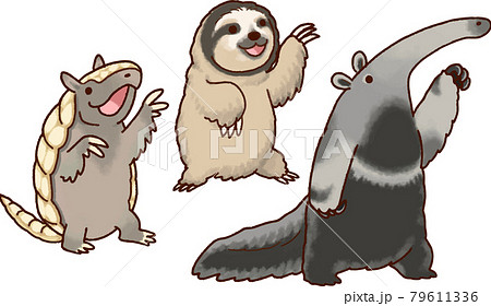 動物】ムツオビアルマジロ、ナマケモノ、オオアリクイのイラスト素材