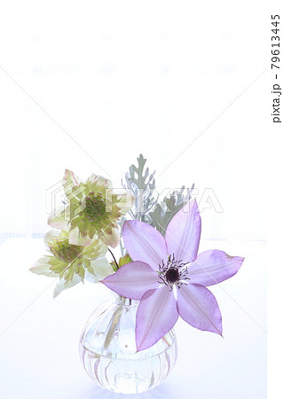 クレマチスのアレンジ クレマチスのアレンジ 79613445