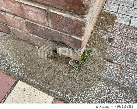 地面にあるアリの巣穴/The nest of ant is on the ground 79613883