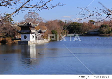 鶴見緑地の冬の風景 79614051