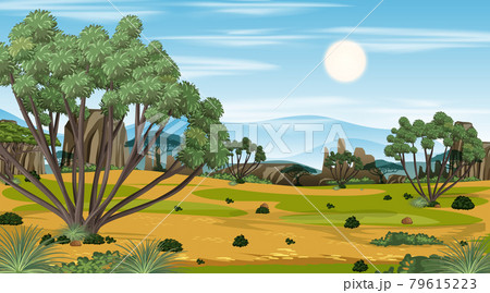 African Savanna forest landscape scene at day time 79615223