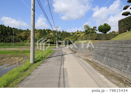 田舎道 79615434