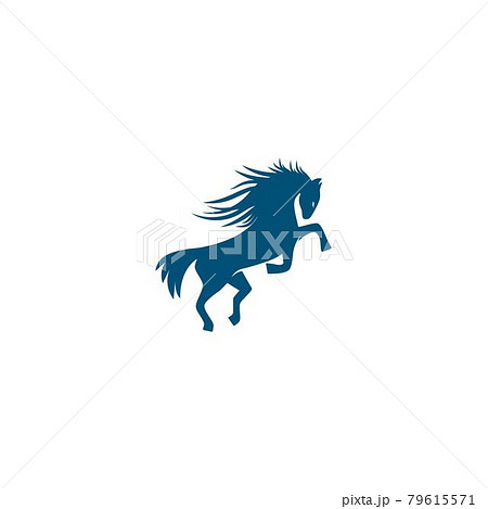 Horse Logo 79615571