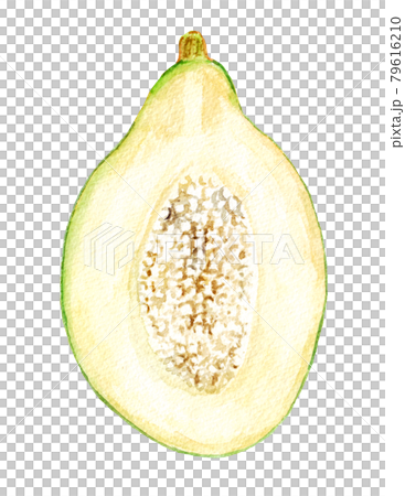 藍木瓜切成兩半的水彩插圖 藍木瓜切成兩半的水彩插圖 79616210