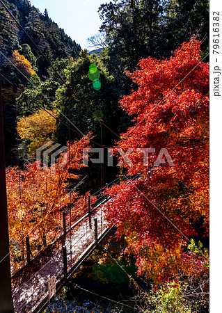【東京都】奥多摩の紅葉風景 【東京都】奥多摩の紅葉風景 79616382