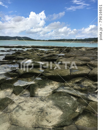 畳岩の端　亀の甲羅型があまり綺麗でない部分 79616601