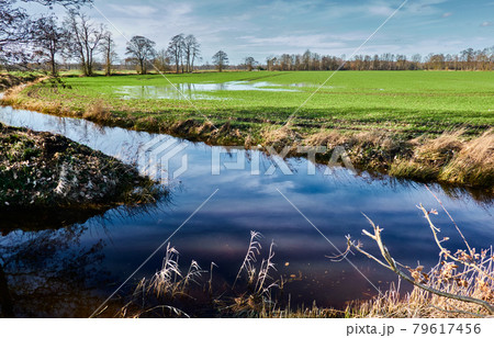Confluence of two artificial drainage ditches with a wet meadow area in the background 79617456